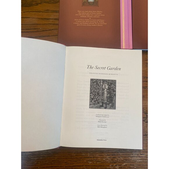 Set Of 4 Fully Illustrated Adapted Classics Dalmatian Press: Anne Of Green Gable - Picture 3 of 8